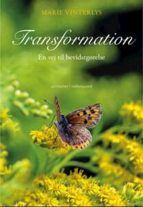 Marie Vinterlys - Transformation